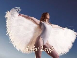 Aerial_Leigh