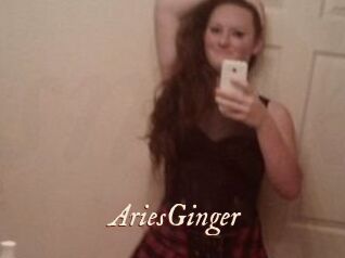 AriesGinger