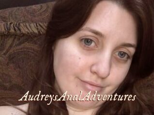 AudreysAnalAdventures