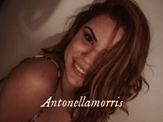 Antonellamorris