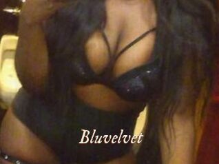 Bluvelvet