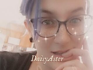 DaisyAster