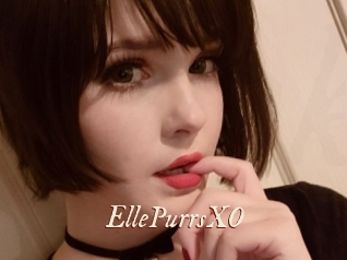 EllePurrsXO