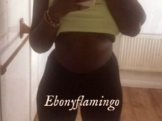 Ebony_flamingo