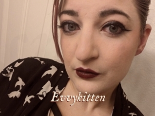 Evvykitten