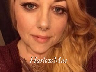 HarlowMae