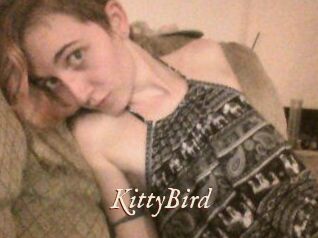 KittyBird