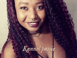 Kannel_passie