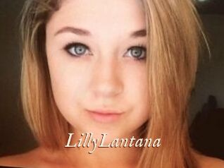 LillyLantana