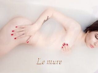 Le_mure