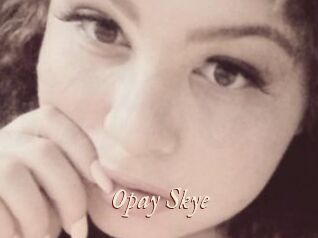 Opay_Skye