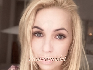 Pamelamodel