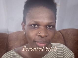 Pervated_bitch