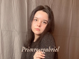 Primrosegabriel