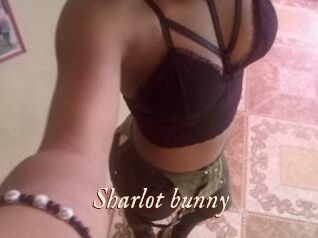 Sharlot_bunny