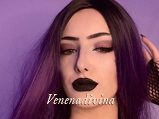 Venenadivina