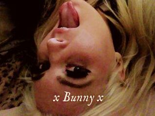 _x_Bunny_x_